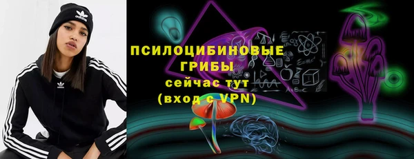 ГАЛЛЮЦИНОГЕННЫЕ ГРИБЫ Абдулино